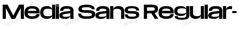 Media Sans Regular字体转换
